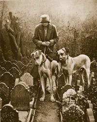 Zwei Doggen auf einem Hundefriedhof, Victoria Gate, nahe Marble Arch